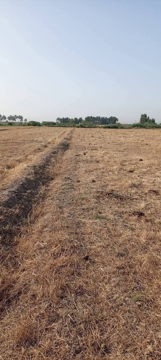السلام عليكم ارض زراعية درجة اولى للبيع،12دونم عقد ايجار تبعد عن التبليط كيلو وربع مياه متوفر شتاء صيف العنوان الخميسيه السعدان@ هذا رقمي ***********
