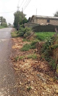 بغداد المدائن • ٥ دونم • طابو ملك صرف