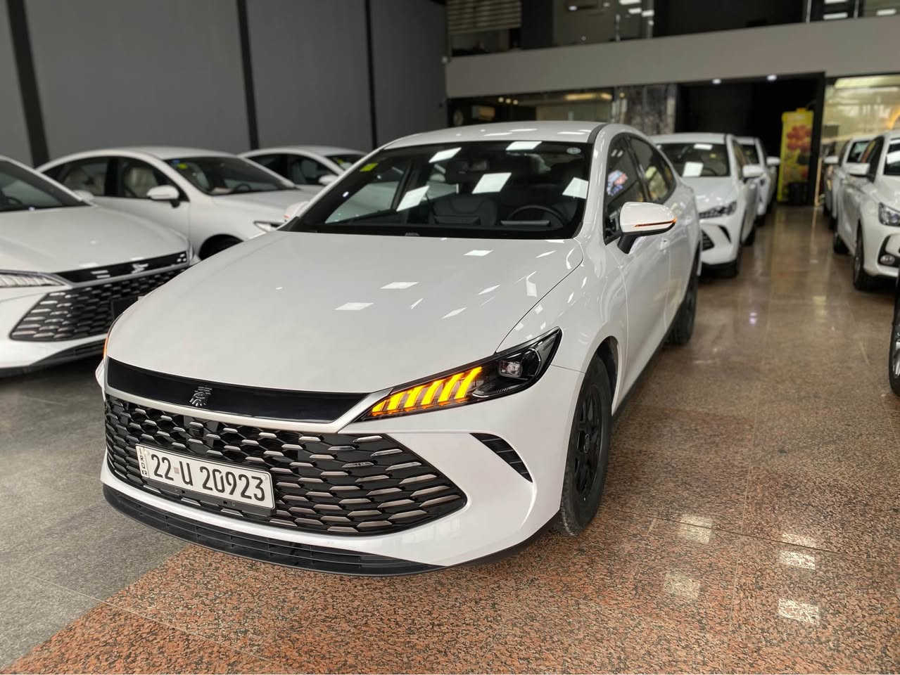 بي واي دي  Qin plus 2025.
تەنیا 5 هەزار ڕۆیشتووە.هیچی نی یە 
مواصفات.کارەبایی و بەنزین و هایبريد.
بصمة شاشةوكاميرا ویل کەپ.تانکی گەورە 
2100 كم.دەڕوات.تحديدسورعه.لیدڤۆلیۆم 
سعر 127ورقە   مۆبایل ***********
مکان أربيل معرض تۆپ کارس أربيل, العراق
