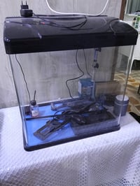 حوض سمك زجاجي بحالة ممتازة مع غطاء أسود يوفر حماية وأمان للأسماك. يأتي...