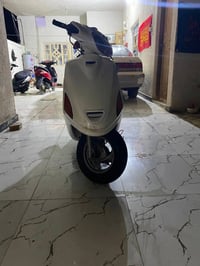 فراشه • ياباني • مامفتوح