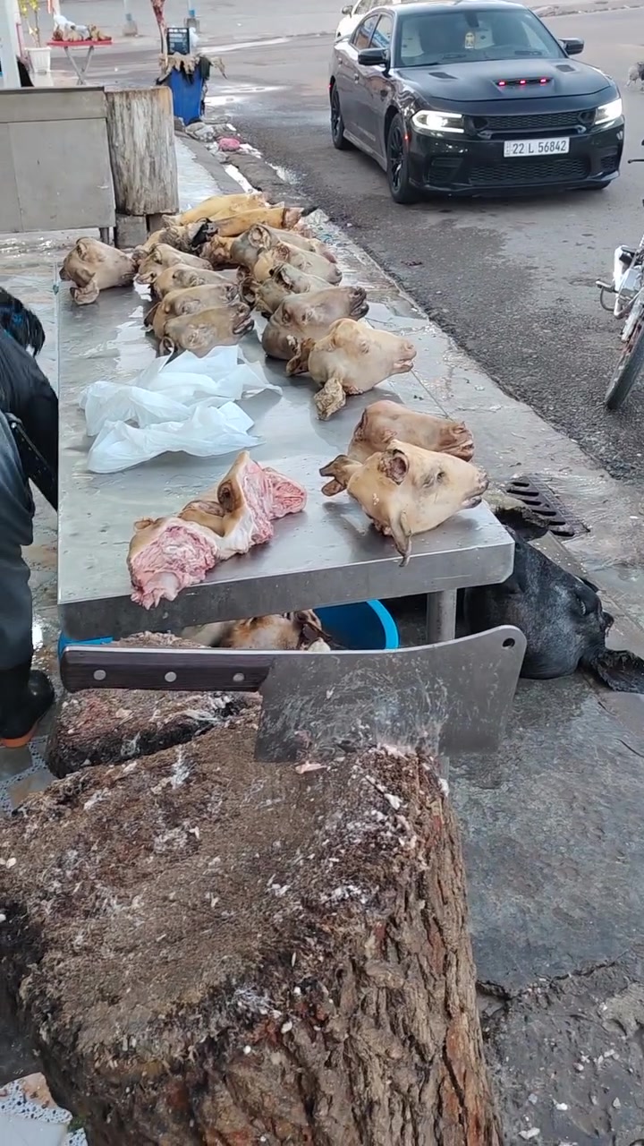 السلام عليكم هاي كلها باچات وكراعين جوه السوك خلي يأكل الفقيرة الباچه ثنين ب 25كراعين حولي ثنين ب 15
***********
السلام عليكم هاي كلها باچات وكراعين جوه السوك خلي يأكل الفقيرة الباچه ثنين ب 25كراعين حولي ثنين ب 15
