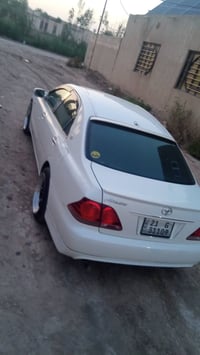 شاهينه • ٢٠٠٥ • الديوانية