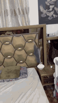 غرفه ماليزي ضمان سنه
الغرفه ضخمه بسبب البيع المساحه صغيره
الكنتور اكثر من ٣ امتار عميق جدا مقطع

النظافه ٩٥٪؜

السعر ٩٠٠ قفل

المكان بغداد م الصدر

الرقم ***********
