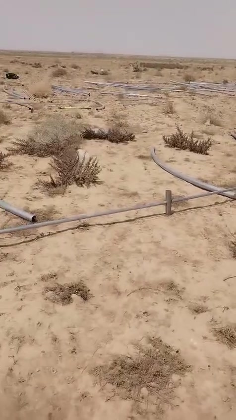 #سلام عليكم اخوان متوفر بيوت بلاستيكيه للزراعة وتربية الدواجن مع جميع مستلزماتها نوعيه لبناني جديد مامشتغل                     حديد ثقيل مغلون. الطول 52متر والعرض 9 متر       
(#متوفر نايلون تركي وسعودي ضمان 3 سنوات)     
(#متوفر نايلون بستره سعودي .#متوفر ايضا ضل اخضر ضمان 6 سنوات) .(#متوفر بيوت مشاتل للاشجار والنخيل) 
(#متوفر تجهيز حقول دواجن كرسته وعمل. حديد وسيم ونايلون وعازل ونايلون مع ضمان 3 سنوات حقيقي)
للاستفسار اكثر ***********/***********
العنوان بابل محاويل ناحيه الامام الطريق السريع متوفر توصيل ونصب البيوت البلاستيكية في كافه المحافضات
