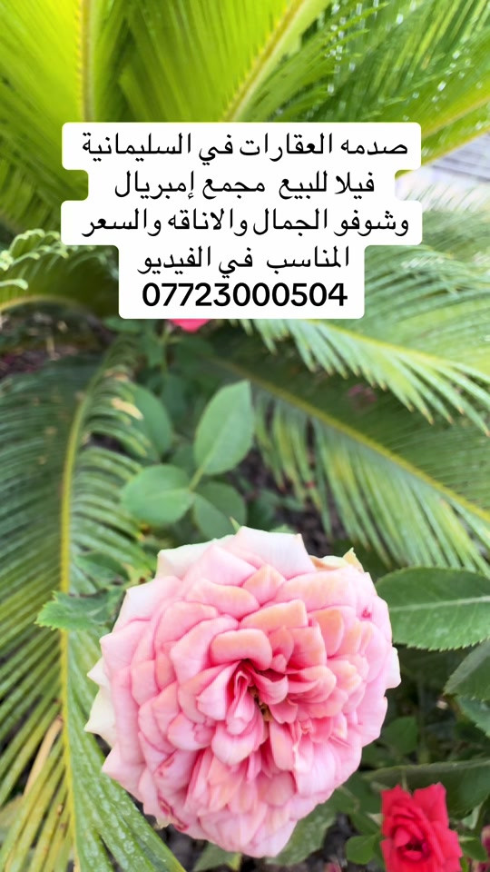 صدمه العقارات في السليمانية  فيلا للبيع  مجمع إمبريال   وشوفو الجمال والاناقه والسعر   المناسب  في الفيديو  ***********#السليمانيه #عقارات #كوردستان🇭🇺 #فيلا #للبيع 
