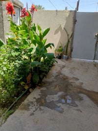 سده الهندية • ٢٠٠م • سويت