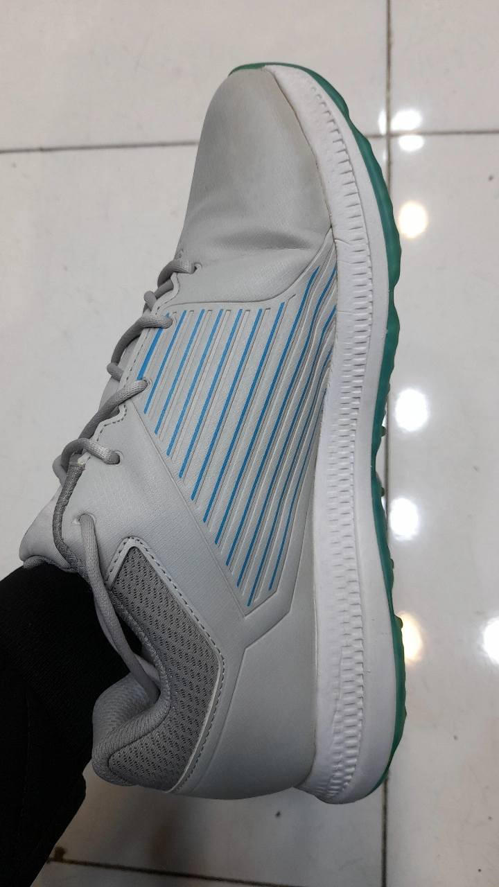 بالە اوروبیە اورجنال سکیشرز
بالەی ئەوروپی ئۆرجیناڵ سکێچەر
*********** واتساپ
