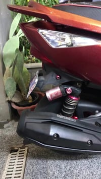 مفولة غراض ومكفولة الي ميعرف اسعارهن لا يدخل ويراسل  مكاني شارع فلسطين...