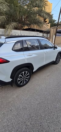 كورلى فروت لاندر • ٢٠٢٥ • مكفولة