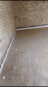 سلام عليكم ورحمة الله وبركاته شلونكم خوان نشتغل داخل البصره شقلنه تصليطه صطح وصبت تضافه وشغل درجه وله ***********
