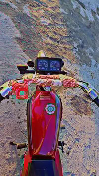 موديل ٢٠١٧ • أوراق أصلية • لون أصفر