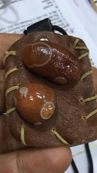 محابس • بغداد • بلا توصيل