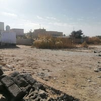 بستان سيد كريم • زراعي • ٢٠٠م