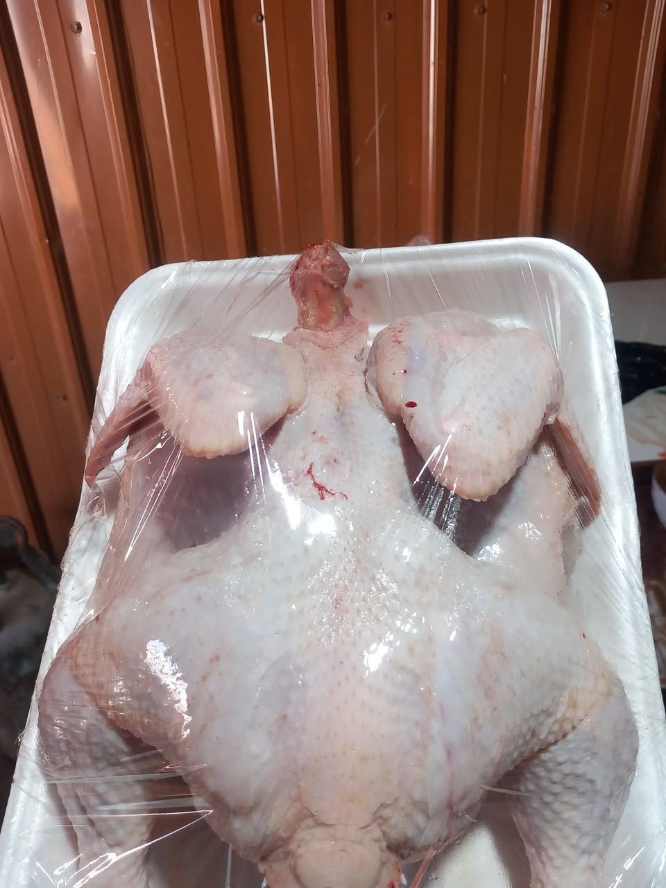 يالله 

بمناسبة حلول عيد الفطر المبارك 

عروض العيد 
دجاج  بأ7 الف فقط وزن كيلوين 

دجاج الزوج با15 وزن كيلوين وربع 

دجاج وزن ع كيلون متوفر خشن الكيلو 3500 

دجاج وزن 3 كيلو متوفر 
هلس تنظيف تقطيع مجاني 

العنوان مقابيل مدرسه حلب قرب البلديه 
حجزز واتساب ***********
