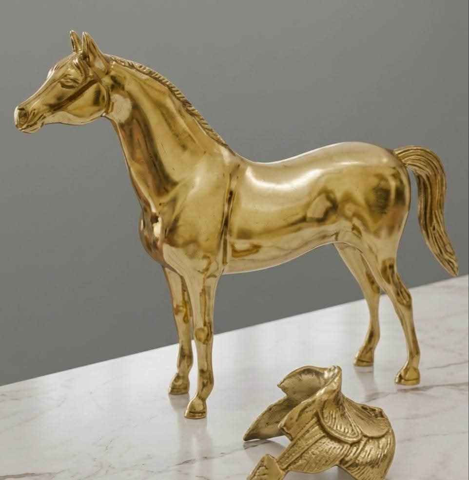 👈🌹🌹🌹حصان نحاس🐎🐎 بالسرج متحرك 👌العرض23سم 🌹ارتفاع 22سم فنش عالي جدا تحفه فنية تستحق الاقتناء ♥️🥰🗣️🗣️ طنطا, الغربية


**إذا كنت صاحب هذا الإعلان وتريد حذفه لأي سبب، رجاءا أرسل رسالة إلى الدعم الفني**
