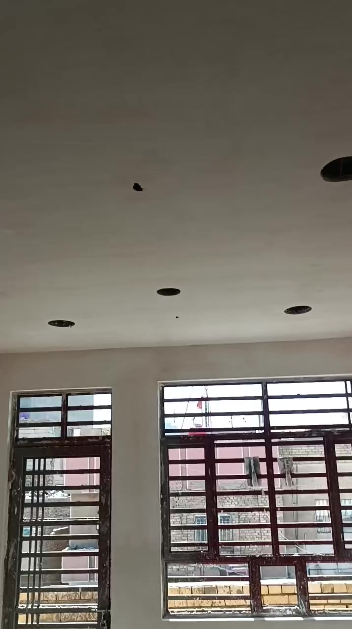 سلام عليكم خلفه جص وبورك شغل درجه اولى مساطر عداله لتزام داخل بغداد مدينه الصدر عله  المتر وقطعي ***********
