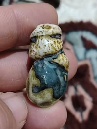 عرق يماني • لوي • متوفر