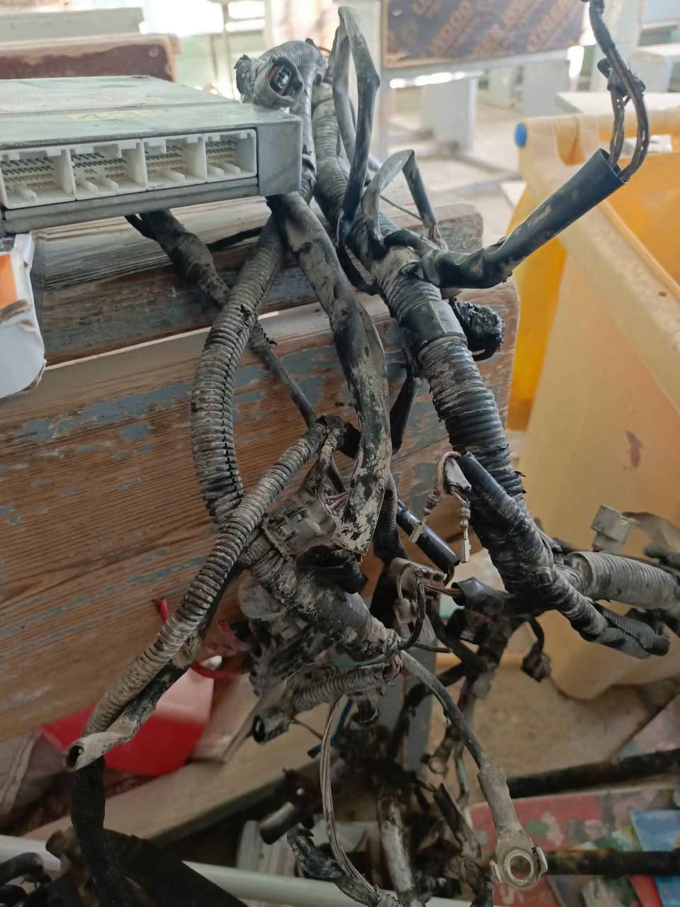 ‎كير وضفيره وعقل بيكاتشو 1600‎ البصرة, العراق


**إذا كنت صاحب هذا الإعلان وتريد حذفه لأي سبب، رجاءا أرسل رسالة إلى الدعم الفني**