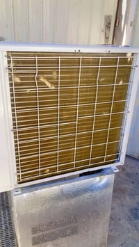 سبلت • استعمال قليل • بغداد