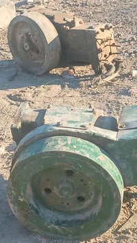 ماطورين هندي • ٢ قطع • محاویل