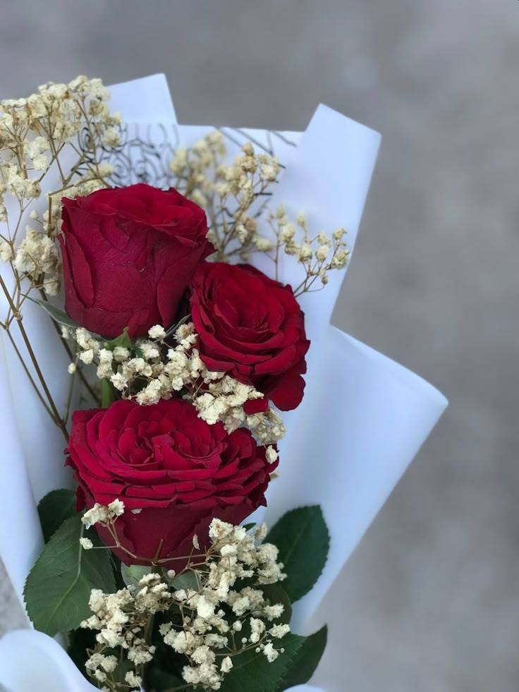 متوفر عندي هدية عيد الام 
صور 
لوحات


**إذا كنت صاحب هذا الإعلان وتريد حذفه لأي سبب، رجاءا أرسل رسالة إلى الدعم الفني**