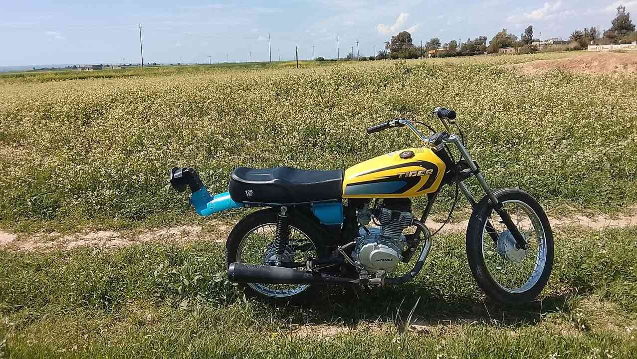 سلام عليكم دراجه انتنس موديل 25 شاصي رفيع للبيع سعر 400بي مجال


**إذا كنت صاحب هذا الإعلان وتريد حذفه لأي سبب، رجاءا أرسل رسالة إلى الدعم الفني**