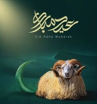 كصاب • ذبح اضاحي • الانبار قضاء هيت