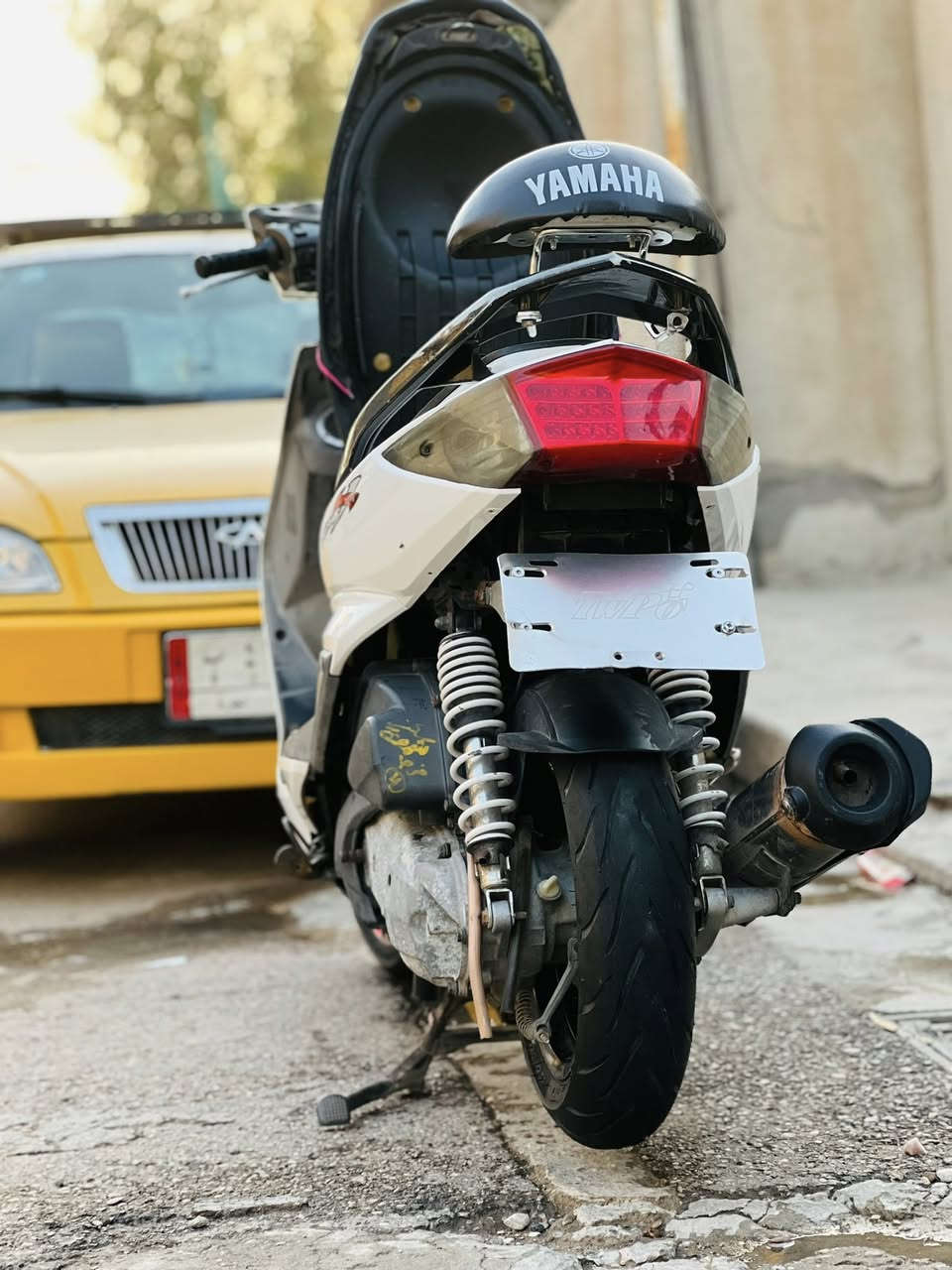 سكسن فحل نوزل البيع او مراوس درجه اي نقص ما بيههه بغداد زعفرانيه ***********
