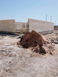 طابو زراعي • سند ٢٥ • بالمحموديه حي بدر