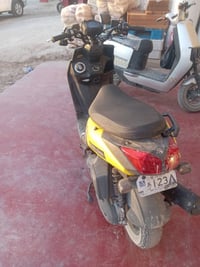 سكنس جبلي • حديث