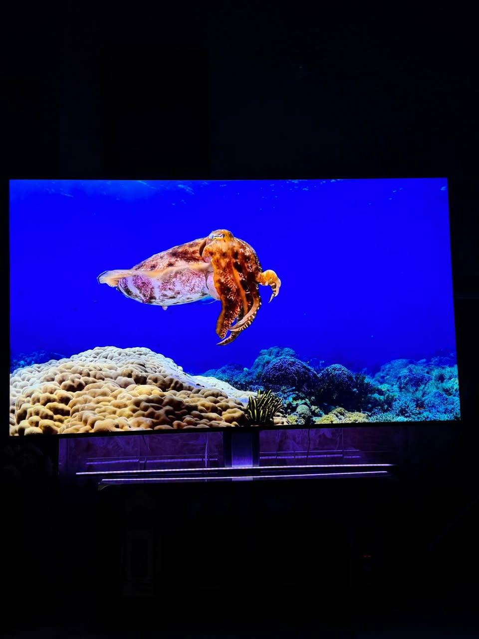 شاشه tcl حجم 85 نظيفه جدا للبيع Qled 4k تدعم 120 هرتز كامل ملحقات للعلم سعر شراء مليونين و 200 
واني عارضه ب مليون و 250 بغداد, العراق


**إذا كنت صاحب هذا الإعلان وتريد حذفه لأي سبب، رجاءا أرسل رسالة إلى الدعم الفني**