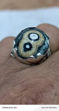 دودي جميل جداً للبيع.  07713172618