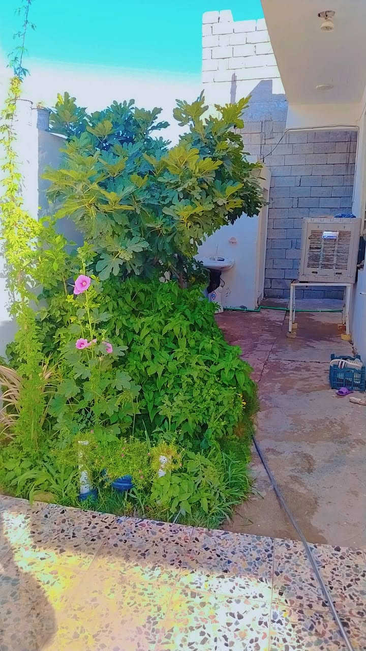 للبيع مساحه 300متر مع قطعه خلف البيت 250متر كسيرات قرب ملعب علي الطويل


**إذا كنت صاحب هذا الإعلان وتريد حذفه لأي سبب، رجاءا أرسل رسالة إلى الدعم الفني**