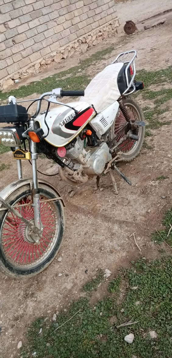 تايكر الفين 19 معمر مره واحده المكان حمام العليل السعر 250 وبي مجال ***********
