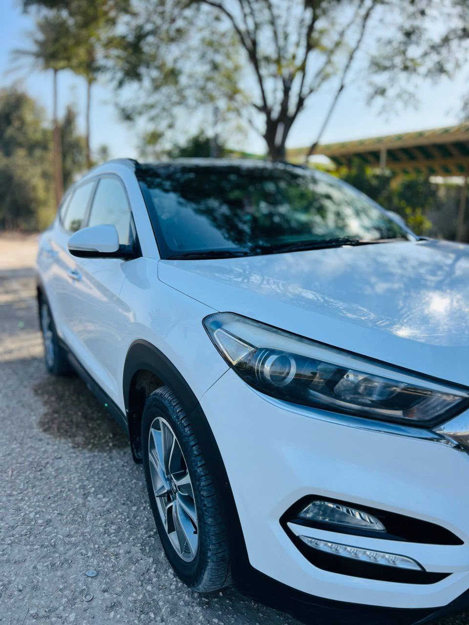 السلام عليكم توسان موديل 18  فول مواصفات  حساسات تشغيل عن بعد مري شفط كامره تثبيت سرعه  تحكم استيرن سياره جاهزه من كولشي مكفوله كفاله عامه بيها تكحلات مثل ماوضح بسونار حداديه مكينه كير مكفولات العنوان بابل حله 
السعر 185 الاستفسار ***********
