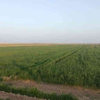 ورحمه الله وبركاته  ارض زراعيه للبيع المساحه 40 دونم متوفر ماء وكهرباء...