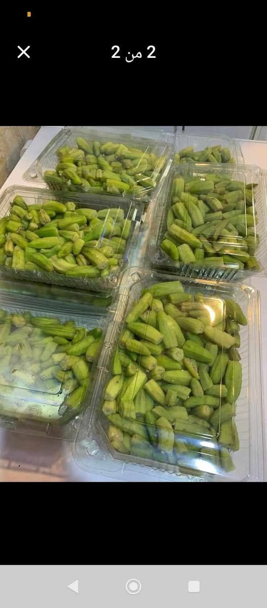 بانية عراقية مجمدة شغل السنة الكيلو ب8 الف حلة, بابل


**إذا كنت صاحب هذا الإعلان وتريد حذفه لأي سبب، رجاءا أرسل رسالة إلى الدعم الفني**