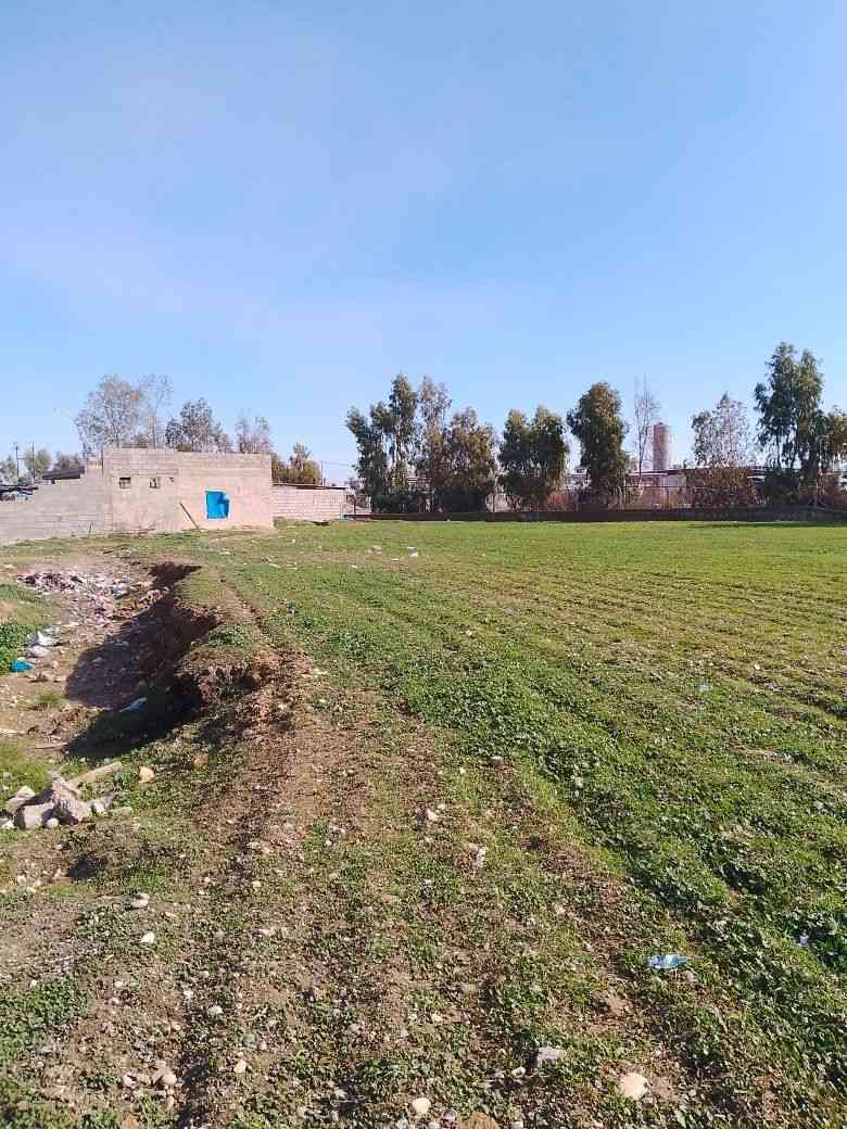 قطعه ارض مساحه ٢٨ دونم طابو زراعي سند 25 في كركوك ليلان قبل معمل السمنت موقع كولش حلو قريبه من شارع رئيسي واجه كولش جبيره تقريبا ٣٠٠متر قطعه بيها بئر ماء ارتوازي وكهرباء محوله خاصه وحضيره جبيره لتربيه حيوانات وبيت سكن لفلاح للمزيد من المعلومات اتصال على رقم مبايل *********** او زياره موقع مكتب في كركوك حي عسكري مقابل بنزين خانه جهان
