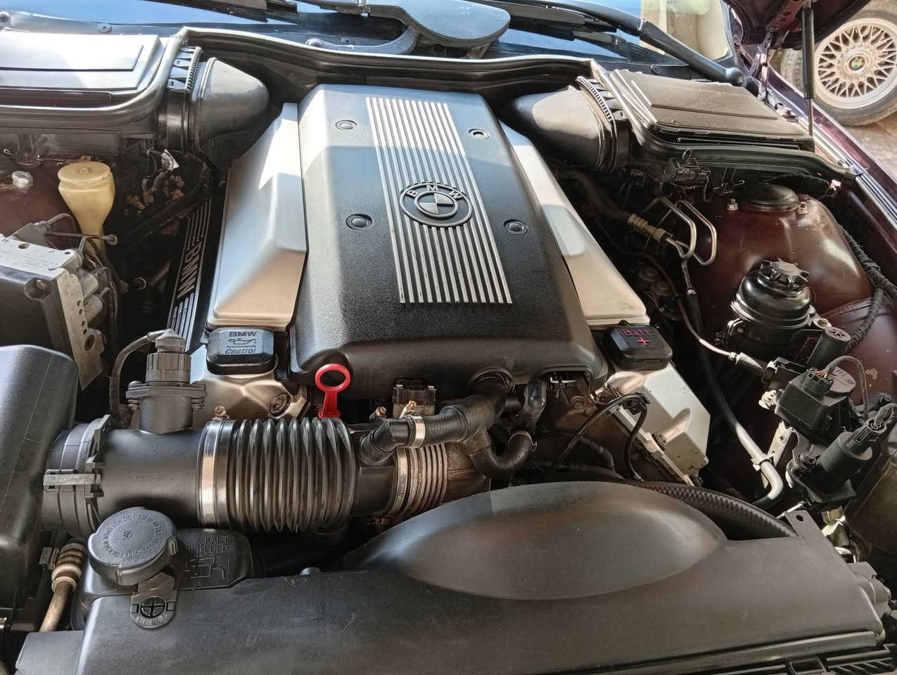 من رخصت الادمن المحترم
544
كير تبترونك 
بغداد موديل 97 
السياره جديده ومكفوله وجاهزه للاخير صبغ جماليه فقط 
مكينه كير حداديه كهربائيات تبريد جاهزه للاخير 
سيلايت جام شغال 
مري كهرباء شفط 
غرفه جديده 
حساسات شغاله 
5 بردات 
البرده الخلفيه كهرباء 
گزوز رياضي 
شاشه كبيره 
مراوس مراوس فقط
حسب القناعه 
الخاص مفتوح 
***********
