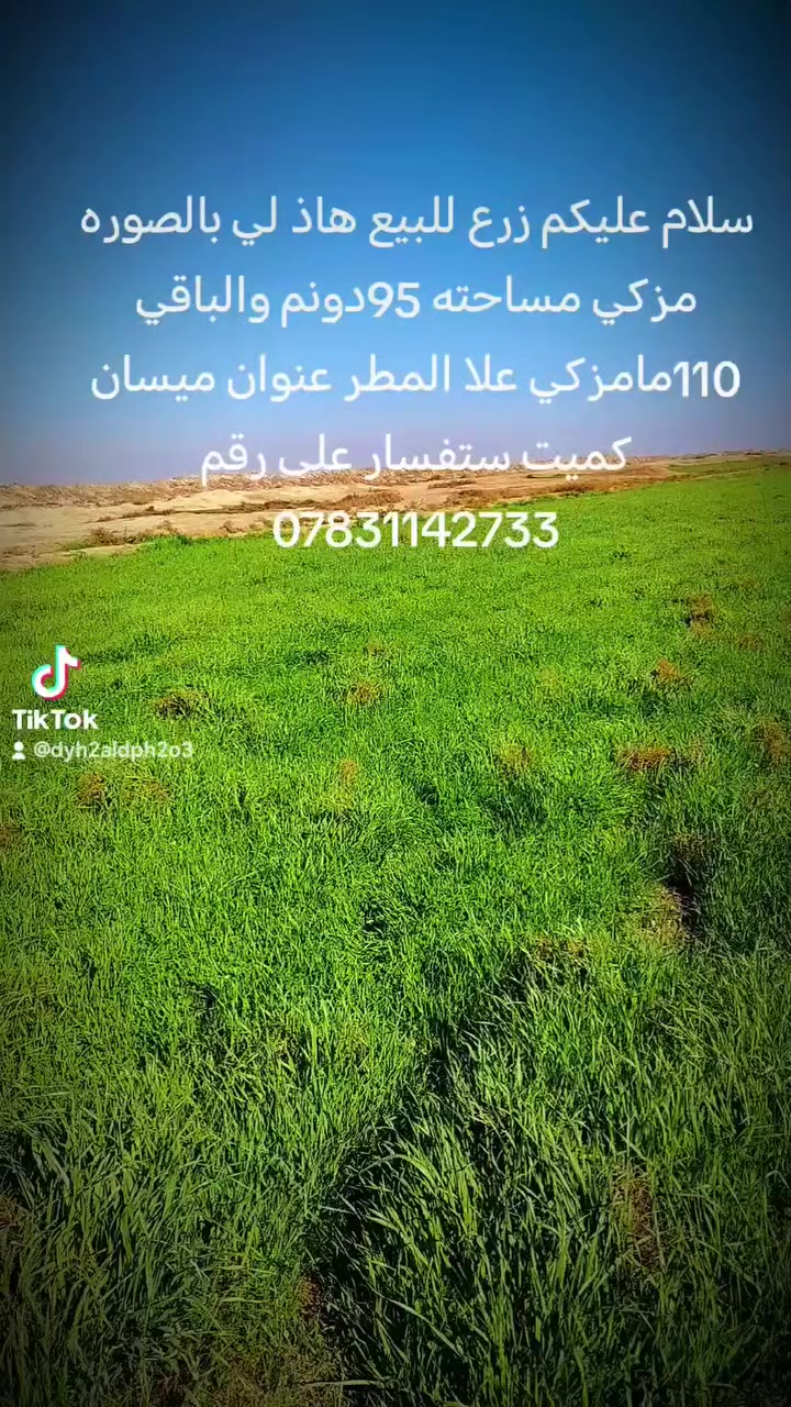 سلام عليكم دغل للبيع مساحه الأرض 205دونم ٩٥دونم مسكينه والباقي مخضر جاث على المطر مكان ميسان كميت بيه بيت وكهرباء وتبليط شارع للباب ومكينه ماي ع كهرباء ستفسار على رقم ***********
