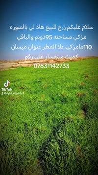ميسان كميت • ٢٠٥ دونم • ٩٥ دونم مسكنة