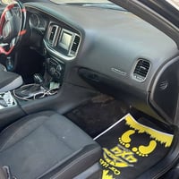 جانجر • ٢٠١٩ • صبغ فقط