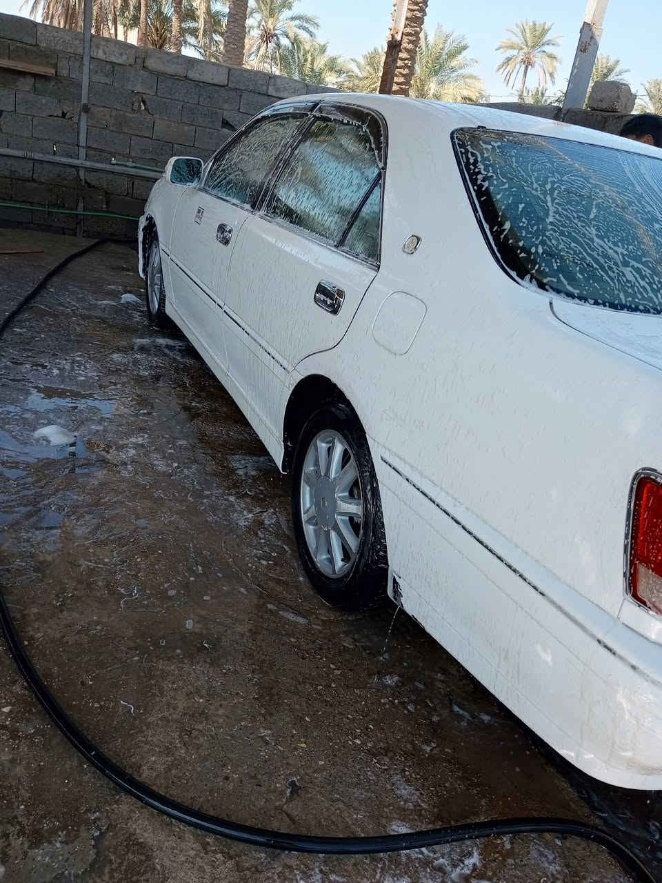 سلام عليكم ملكه البيع كفاله عامه من كلشي من كصه و ضربه و مداور ثاني يوم ومكينه وكير كفاله 133 وبيه مجال *********** موقع نجف ـــ مشخاب
