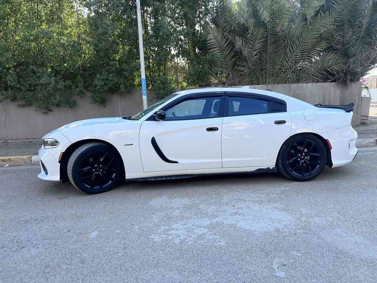 بيع مستعجل
جارجر موديل 2018 RT فوول مواصفات عدا الفتحةة 
رقم بغداد بأسمي 
السعرر 169$  ماكو هيج سعر بل عافية لصير من نصيبه 
رقمي *********** مكاني بغداد
حادثة فقط جاملغ الخلفيي بااقيي كفاالة عاامه
بجم كبس كبس 
سياره جديده بمعنى الكلمه 
مواصفات فووول عدا الفتحة 
عليها برمجه كامله وكزوز موبار 
أويل كاج كان وبيها اهوايه اضافات سياره جديدة
