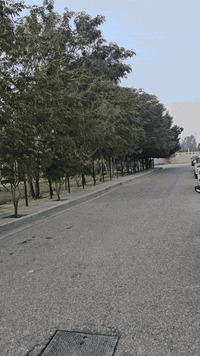 دار للبيع في مجمع الكوثر السكني.
زقاق ١ مقابل الحديقه.
المساحه ١٥٠ متر طابو صرف،طابقين يحتوي على ٣ غرف نوم
الطابق الارضي يحتوي على غرفه وصاله كبيره وحمامات ومطبخ ،مع حديقه اماميه وكراج وحديثه خلفيه.
الطابق الثاني يحتوي على صاله وغرفتين نوم. 
للاستفسار اكثر الاتصال بلرقم ***********
