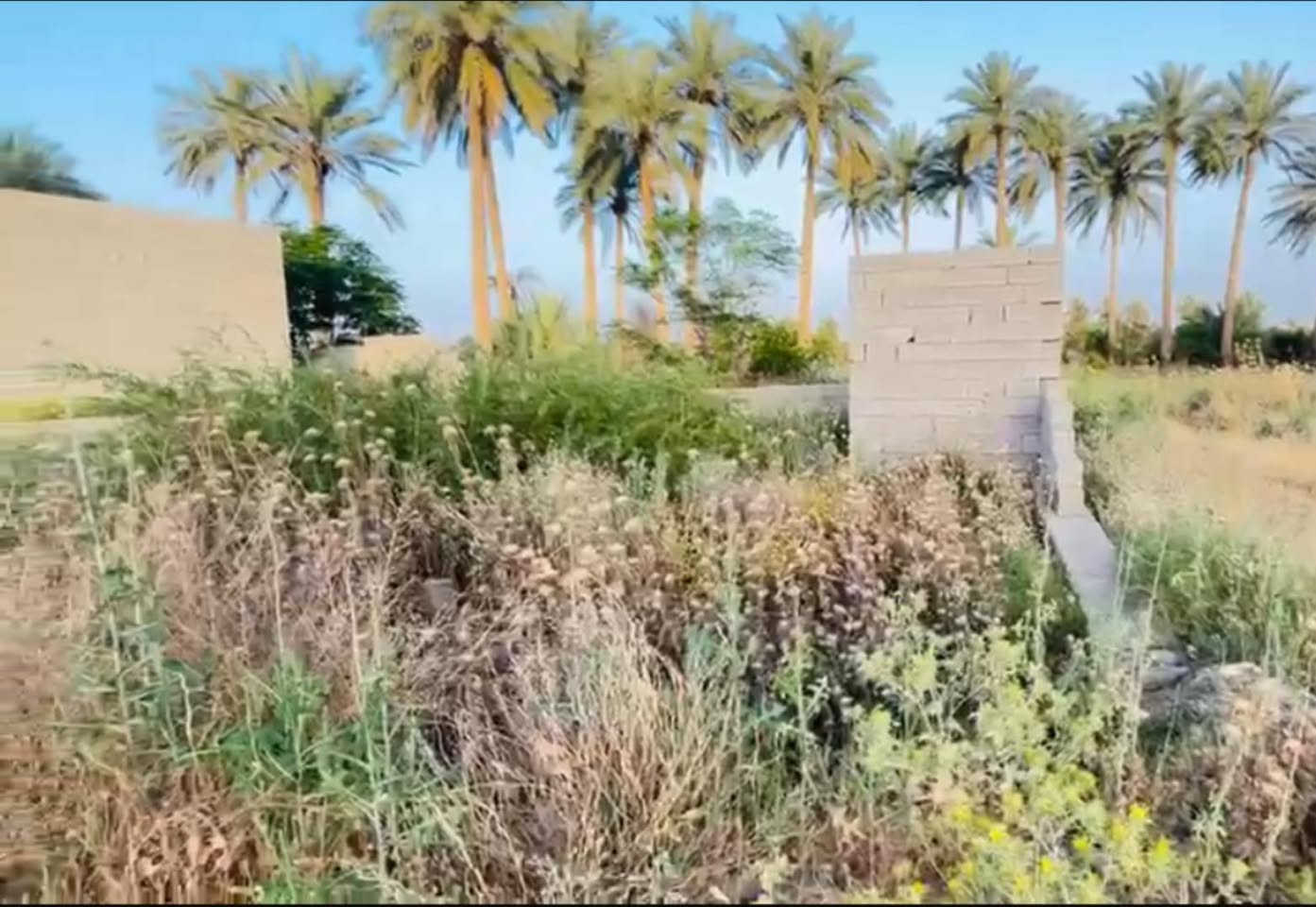للبيع هيكل على السايدين  بسعر مناسب جدا ، مساحة الارض 600 متر سياج كامل للقطعه والبيت
جنس العقار : طابو زراعي 
📌للمهتمين يوجد مقطع توضيحي كامل عن البيت 
للأستفسار الاتصال ***********
