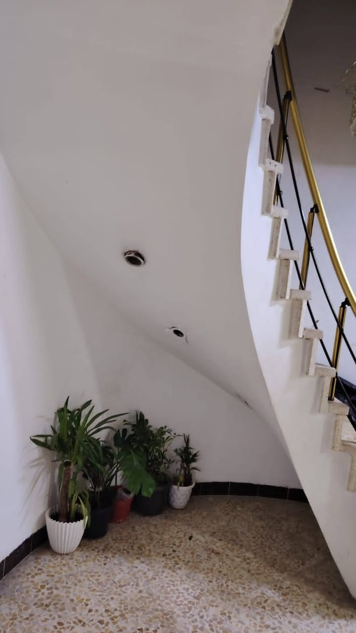 #عروض #مكتب #أسوار #المدينةللعقار
#دار #للإيجار
____________________________________

عنوان الدار ⬅️⬅️ بداية مزارع الحدباء
مساحة الدار ⬅️⬅️ ١٥٠ متر
طابق واحد ⬅️⬅️ غرفتين نوم هول واستقبال ومطبخ ومناور وصحيات وكراج
بدل الإيجار الشهري ⬅️⬅️ ٣٥٠ ألف
___________________________________
_
للاستفسار مراجعة مكتب
#أسوار #المدينة #للعقار
حي الحدباء مقابل جامع المجيد 🌹
او الاتصال على الأرقام التالية
اسيا ☎️***********
كورك ☎️***********
او مراسلة الصفحة 🎁
