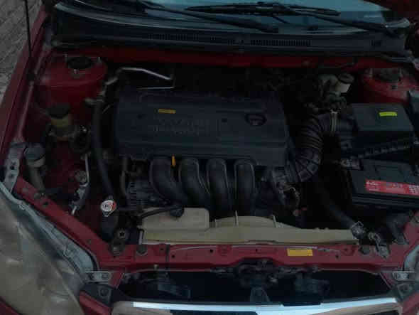 السلام على الجميع
كورلة نحلة 2008وارد أمريكي محرك .1800.محرك قبل اسبوع شادة صدر فول كهرباء فول 
تبريد جديد ثلج 
صدر جديد
كهرباء فول
سيارة بلاد 
حادث أمريكي جاملغ خلفي جهة البانزين
السيارة ليبل واحد
السيارة بلاد بيهة شوية جراد
شاشة كامرة 
سنوية 28بسمي رقم انكليزي
السعر 95
رقمي .***********
غيرمتواجد علفيس؟
العنوان الدورة بغداد
