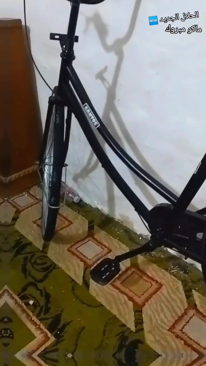 سلام عليكم بايسكل للبيع السعر خاص او مراوس بتسعه  
شركه سانتوسسس


**إذا كنت صاحب هذا الإعلان وتريد حذفه لأي سبب، رجاءا أرسل رسالة إلى الدعم الفني**